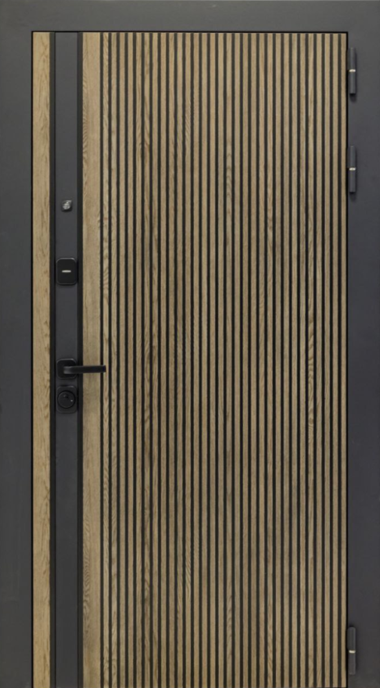 Входная дверь ДвериПРО Rosna ПВХ 10мм Астрод Velutto Grigio DPRO196758 внешняя сторона